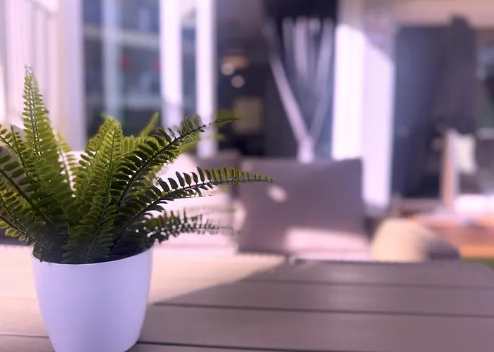 Tropicalidays Casa Arnold דירה פוארטו דה סנטיאגו